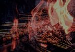 Sate Malibu